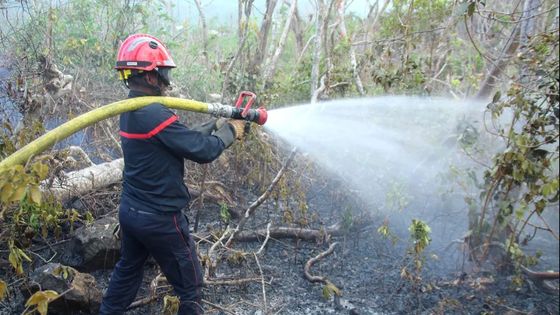 Les pompiers s'attendent à un fort risque de feux de forêt ce week-end.