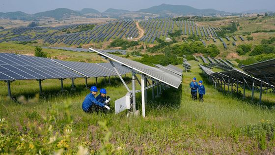 Personnel travaillant dans une centrale électrique, province du Shandong en Chine, construite sur un terrain de près de 333 hectares, le 22 mai 2024 à Rizhao. Photo d'illustration.