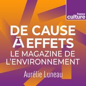 De cause à effets carré