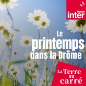 Le printemps dans la Drôme - carré