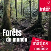 Forêts du monde - carré