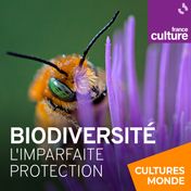 Biodiversité, l'imparfaite protection