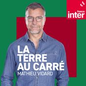 La terre au carré