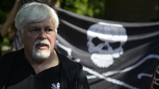 Paul Watson