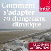 Comment s'adapter au changement climatique - carré