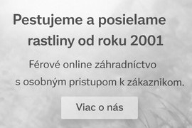 O nás O nás