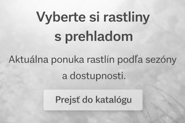 Výber z katalógu Výber z katalógu