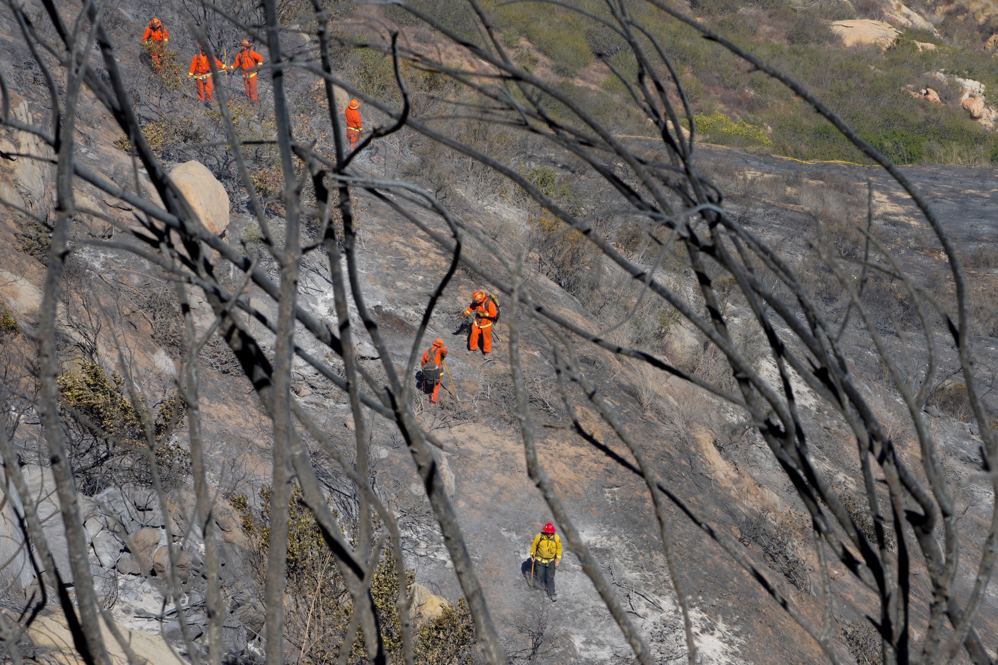 A hand tool crew works to extinguish remaining hot spots just off Old Highway 395 in Bonsall on Tuesday, Jan. 21, 2025. (Nelvin C. Cepeda / The San Diego Union-Tribune)