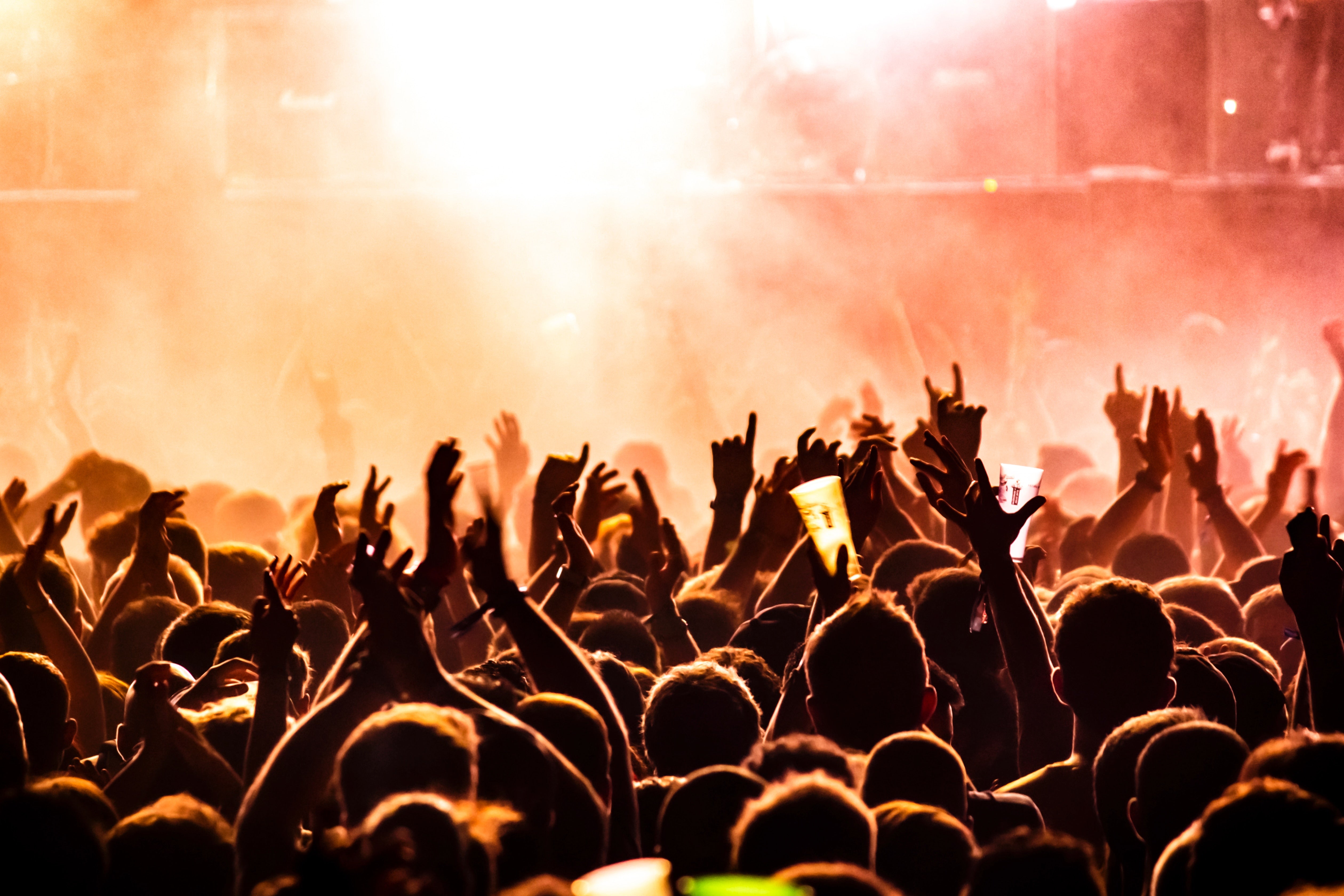 Crowd of Fans at Concert