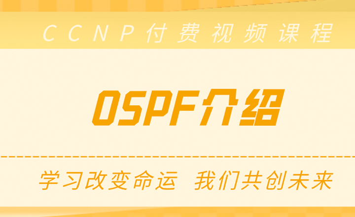 CCNP视频课程：OSPF介绍