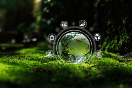 Hoe we er samen voor zorgen dat AI een positieve CO2-voetafdruk krijgt