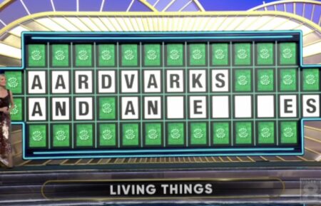 Wheel of Fortune puzzle