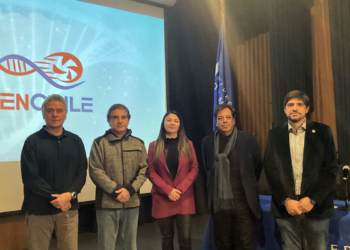 royectos de Desarrollo del Deporte Formativo Chileno