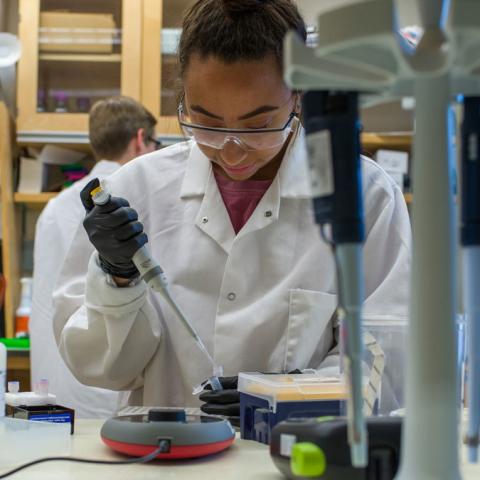 Woman works in a lab