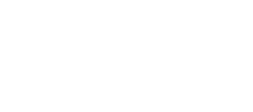 Veeva Commercial-Summit, Europe