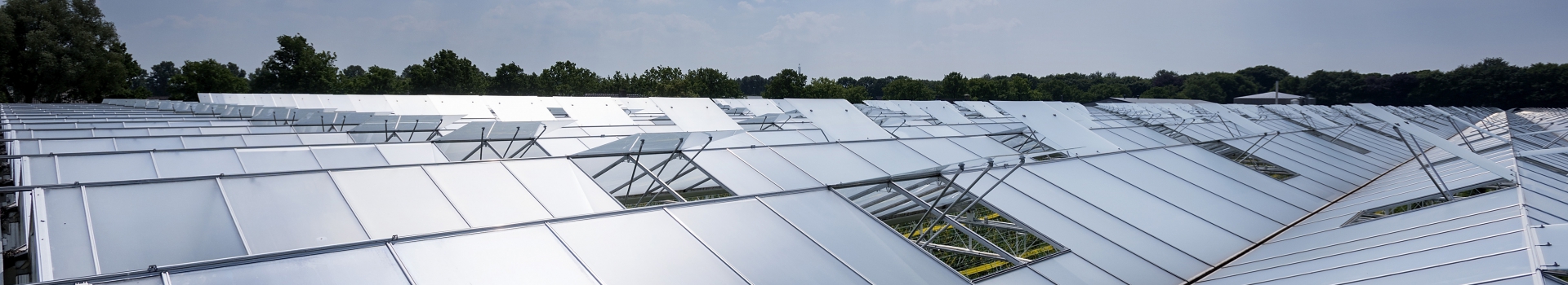 Tuinbouw