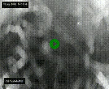 Webcam routière au début de la N10, au sud de Poitiers, proche de la jonction avec l'A10