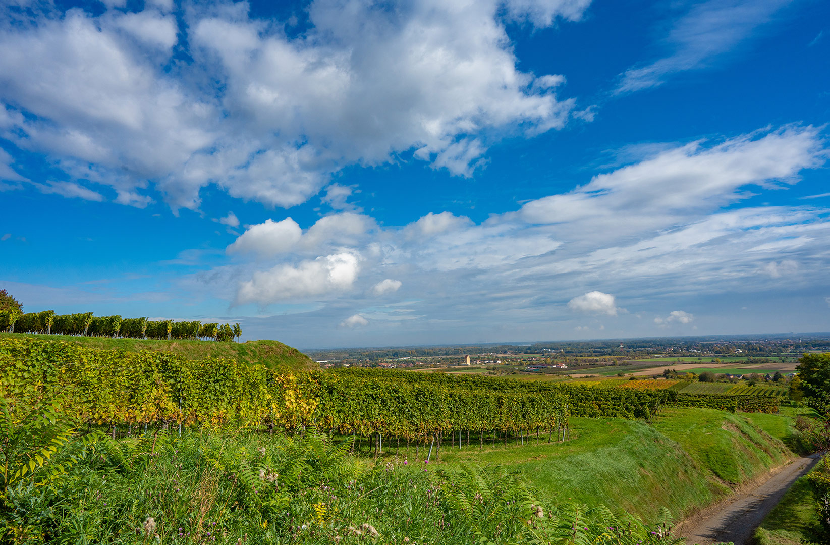 ©friedrich_scheichl_com_A7405280