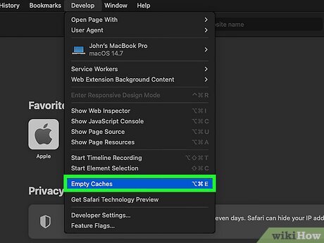 Step 3 Click Empty Caches for All Profiles.