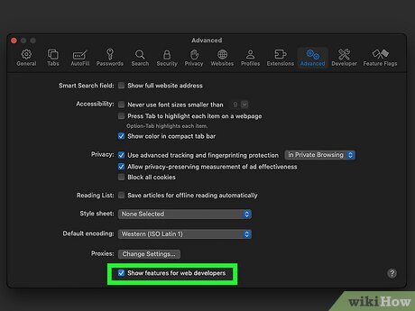 Step 1 Enable the Develop menu in Safari.