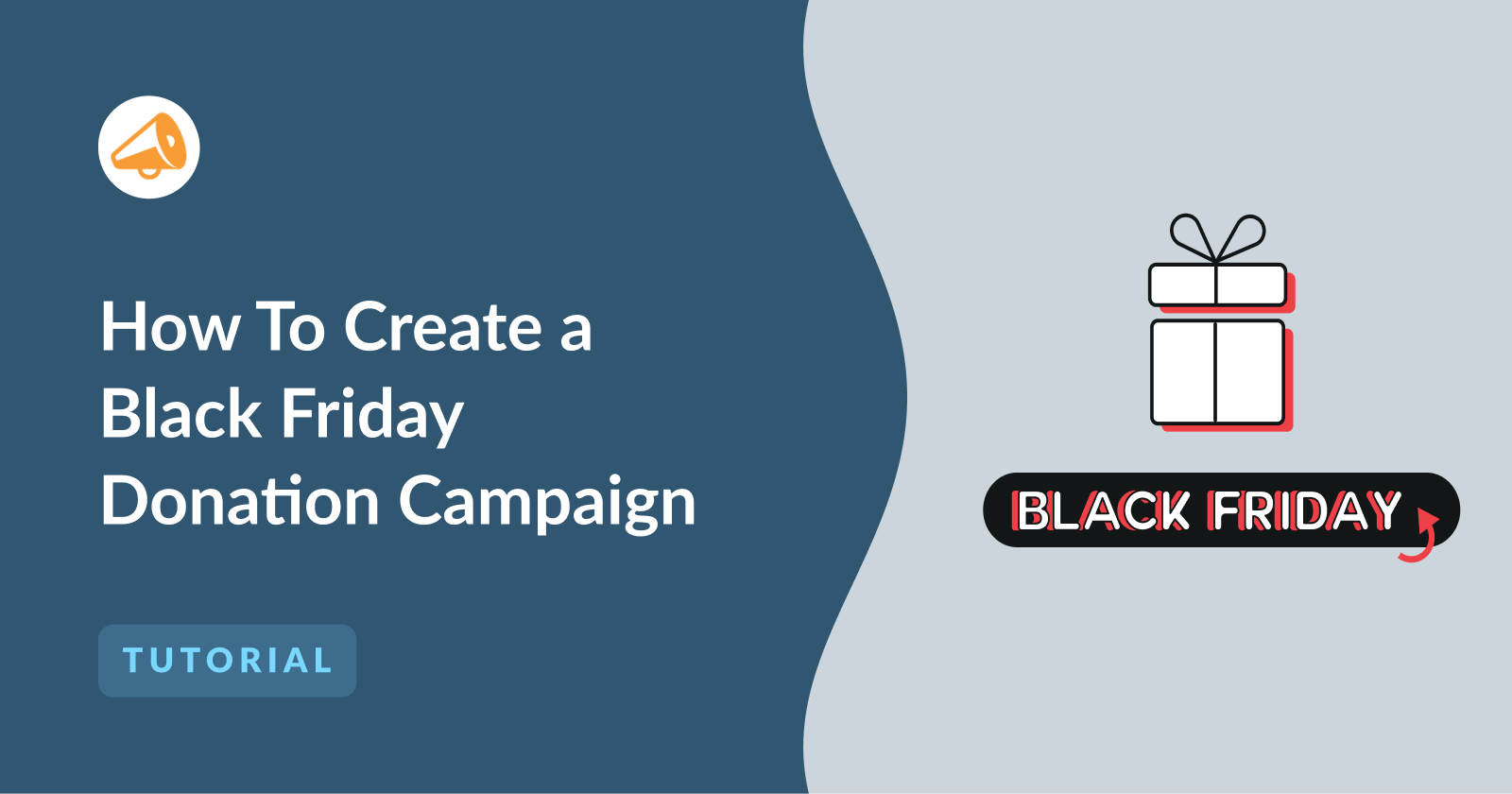 How to Create a Black Friday Donation Campaign (10-Minute Tutorial)