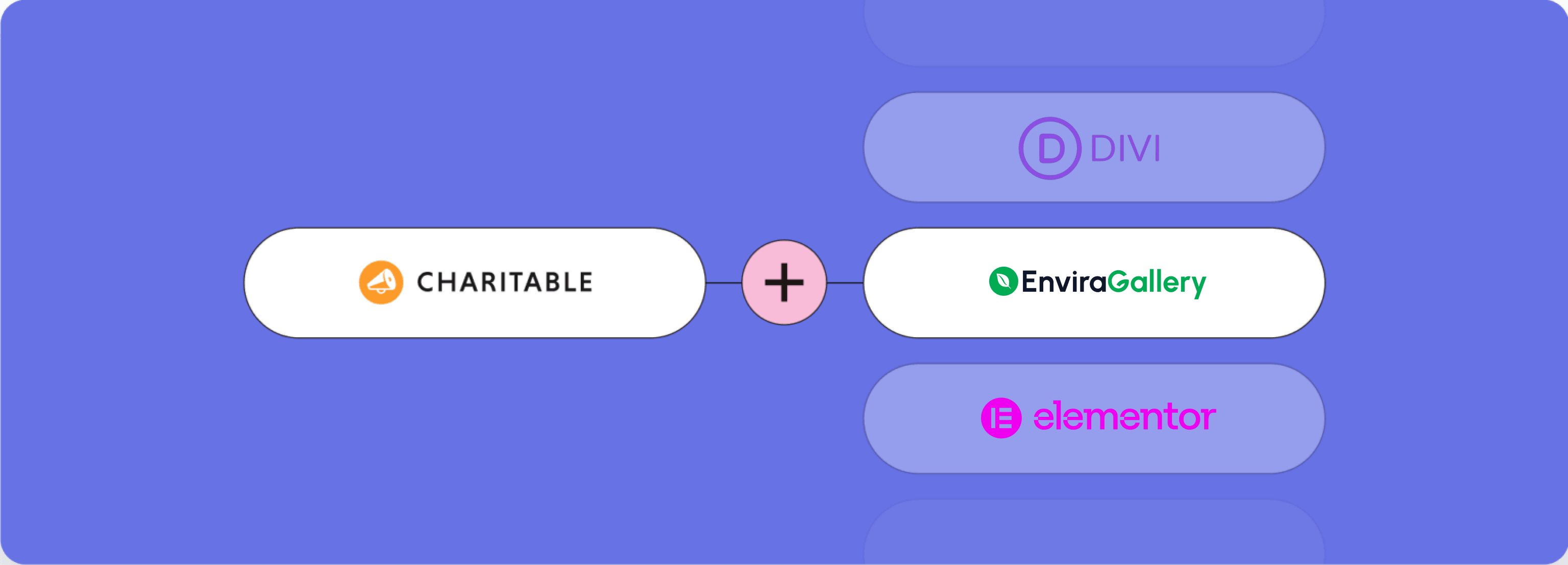 MailChimp | Charitable Envira Gallery-Integration