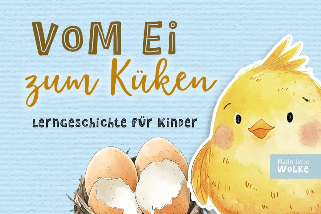 Vom Ei zum Küken - Projekt vom Ei zum Küken - Entwicklung vom Ei zum Küken - vom Ei zum Küken Kindergarten Wilma Wochenwurm