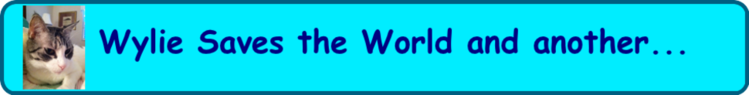 wyliesavesme.com