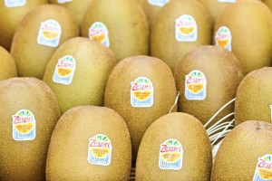 Sinclair, Zespri launch compostable fruit label