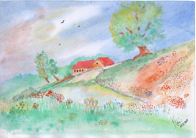 Sommerwiese