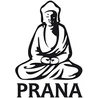 Prána Párna
